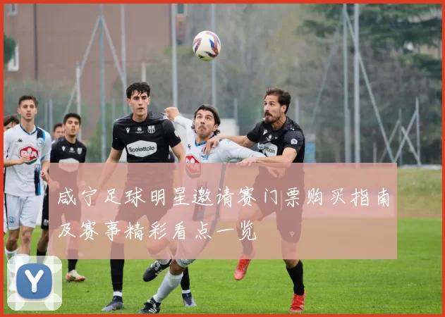 咸宁足球明星邀请赛门票购买指南及赛事精彩看点一览