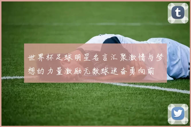 世界杯足球明星名言汇聚激情与梦想的力量激励无数球迷奋勇向前