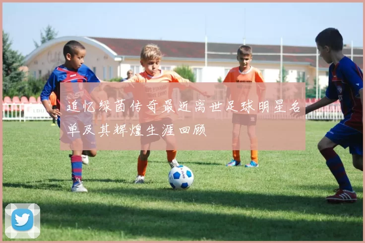 追忆绿茵传奇最近离世足球明星名单及其辉煌生涯回顾