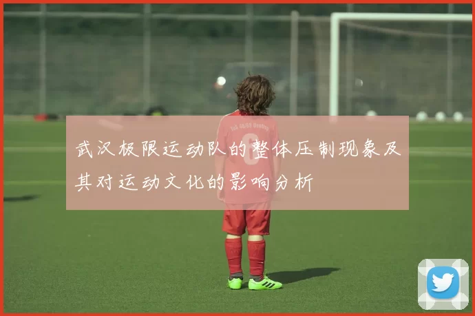 武汉极限运动队的整体压制现象及其对运动文化的影响分析
