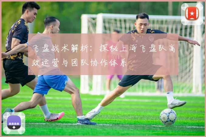 飞盘战术解析：探秘上海飞盘队高效运营与团队协作体系