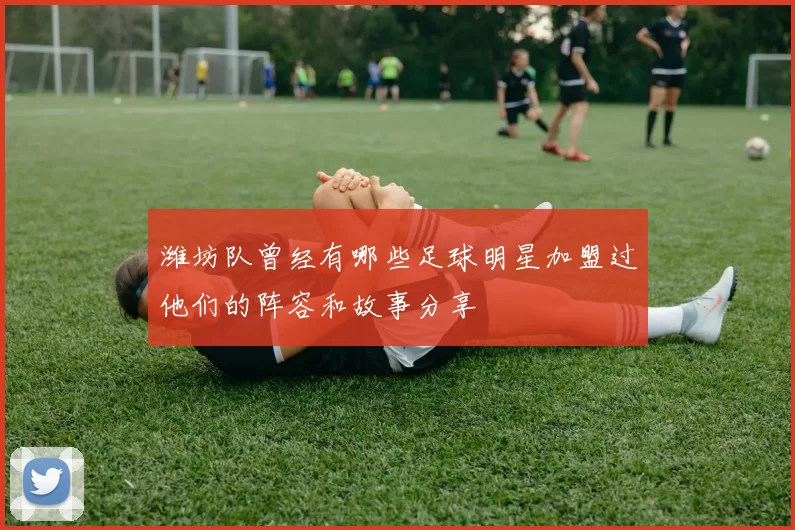潍坊队曾经有哪些足球明星加盟过他们的阵容和故事分享