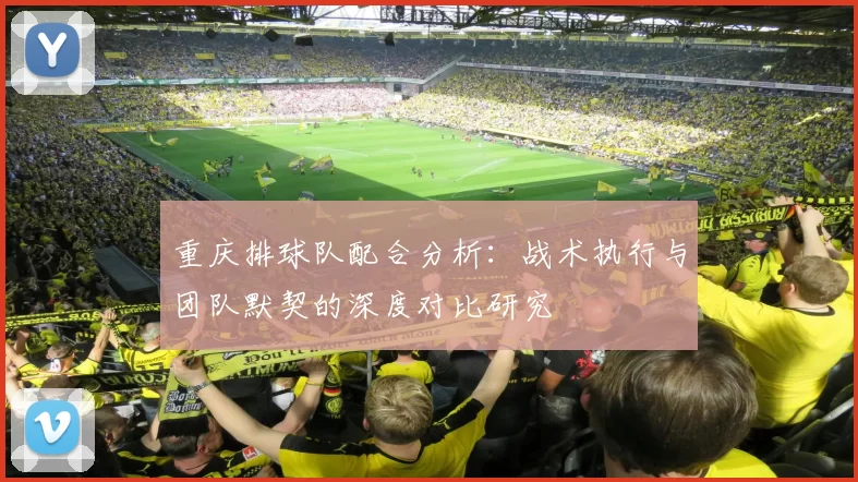 重庆排球队配合分析：战术执行与团队默契的深度对比研究