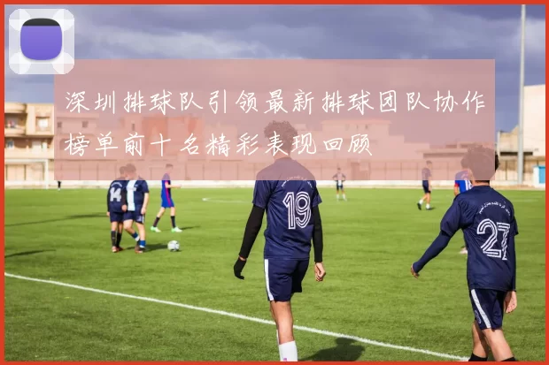 深圳排球队引领最新排球团队协作榜单前十名精彩表现回顾