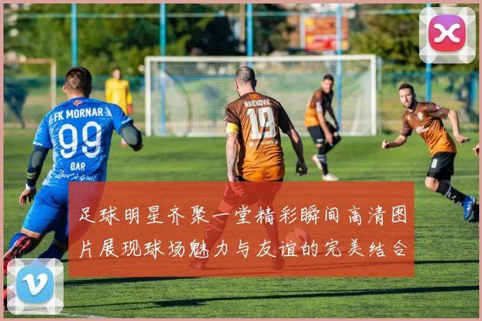 足球明星齐聚一堂精彩瞬间高清图片展现球场魅力与友谊的完美结合