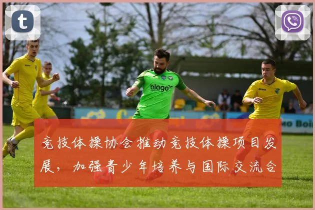 竞技体操协会推动竞技体操项目发展，加强青少年培养与国际交流合作