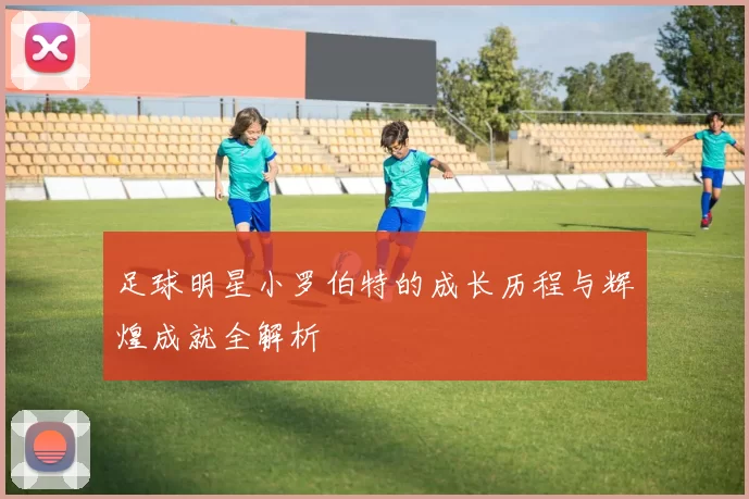足球明星小罗伯特的成长历程与辉煌成就全解析