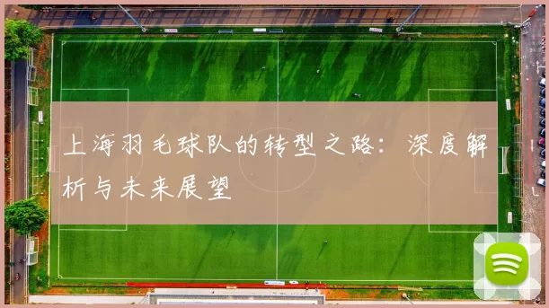 上海羽毛球队的转型之路：深度解析与未来展望
