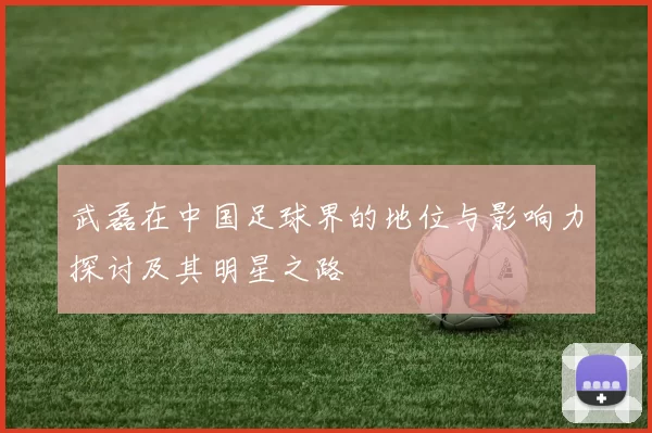 武磊在中国足球界的地位与影响力探讨及其明星之路