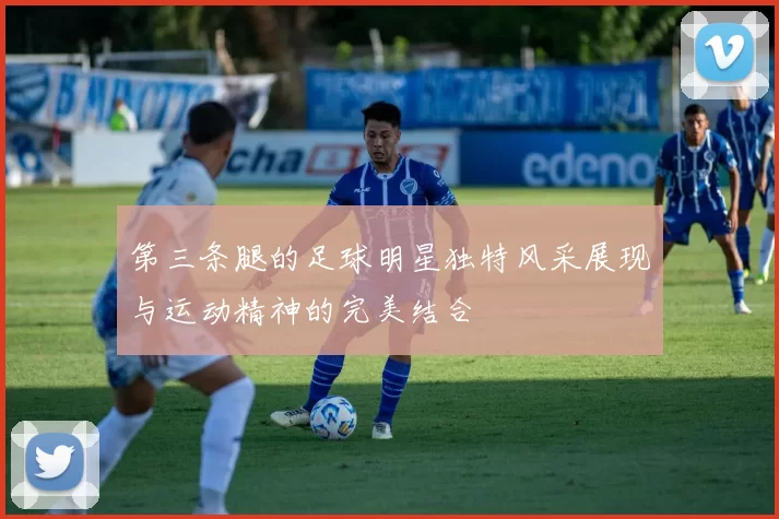 第三条腿的足球明星独特风采展现与运动精神的完美结合