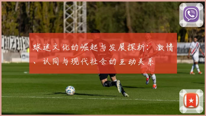 球迷文化的崛起与发展探析：激情、认同与现代社会的互动关系