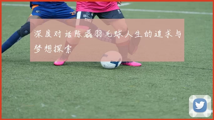 深度对话陈磊羽毛球人生的追求与梦想探索