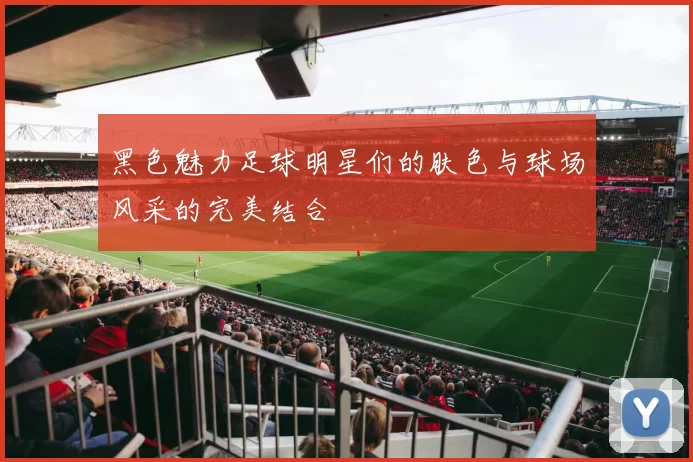 黑色魅力足球明星们的肤色与球场风采的完美结合