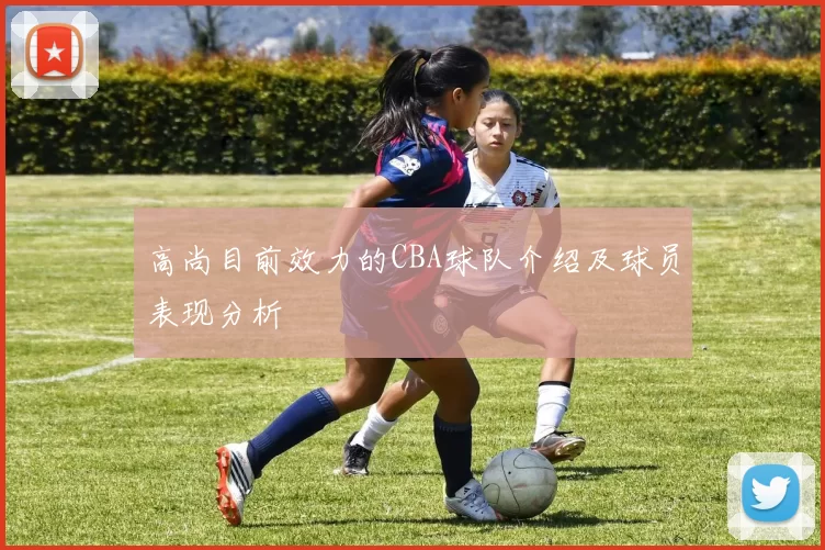高尚目前效力的CBA球队介绍及球员表现分析