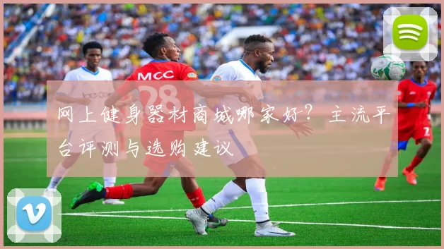 网上健身器材商城哪家好？主流平台评测与选购建议