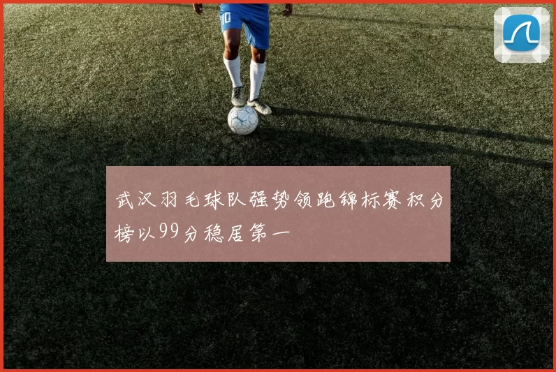 武汉羽毛球队强势领跑锦标赛积分榜以99分稳居第一