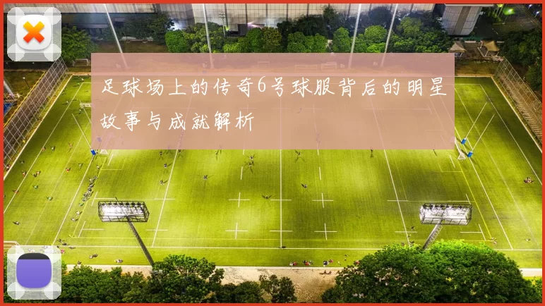 足球场上的传奇6号球服背后的明星故事与成就解析