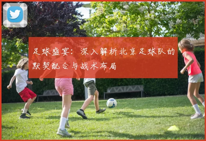 足球盛宴：深入解析北京足球队的默契配合与战术布局