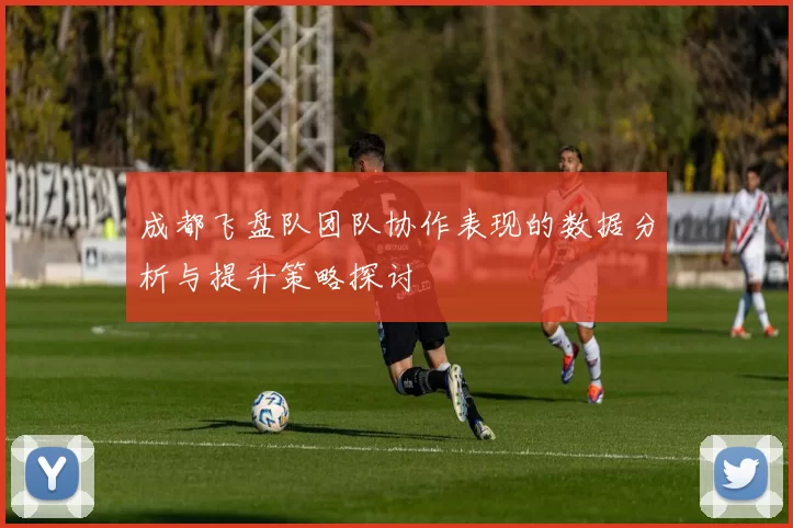 成都飞盘队团队协作表现的数据分析与提升策略探讨