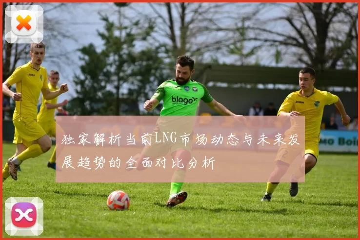独家解析当前LNG市场动态与未来发展趋势的全面对比分析