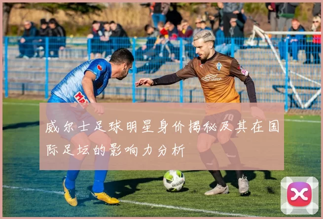 威尔士足球明星身价揭秘及其在国际足坛的影响力分析