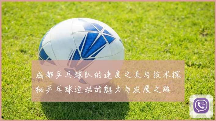 成都乒乓球队的速度之美与技术探秘乒乓球运动的魅力与发展之路