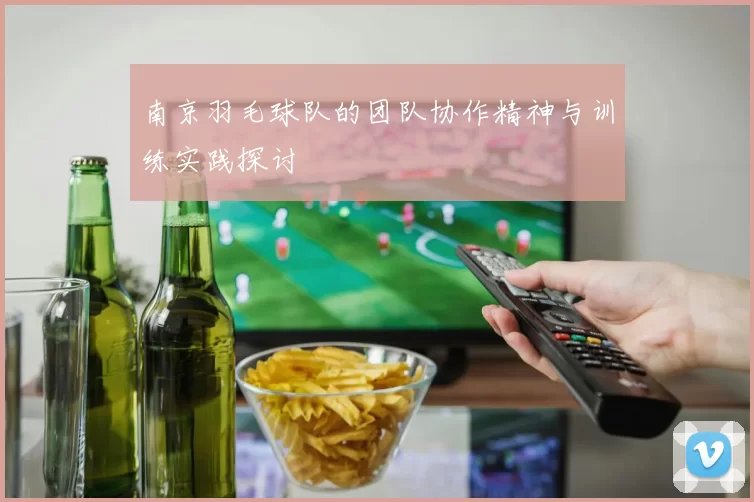 南京羽毛球队的团队协作精神与训练实践探讨