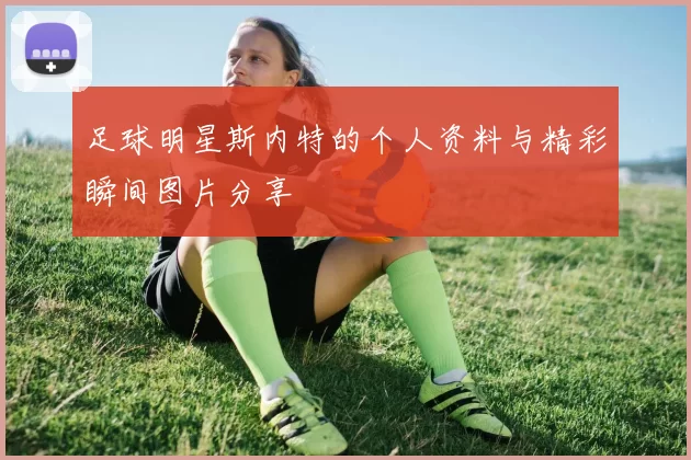足球明星斯内特的个人资料与精彩瞬间图片分享