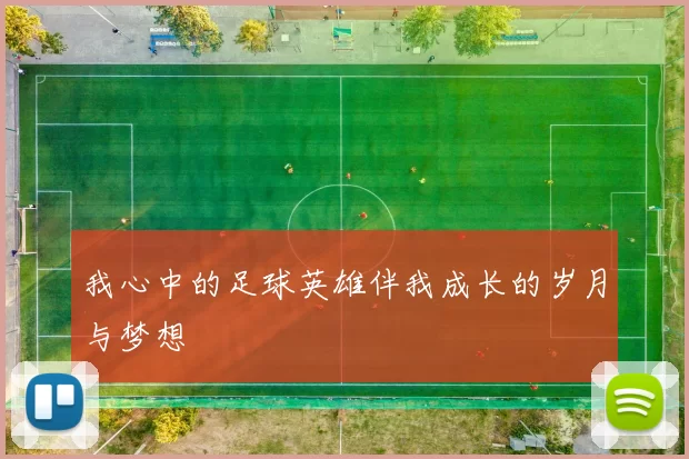 我心中的足球英雄伴我成长的岁月与梦想