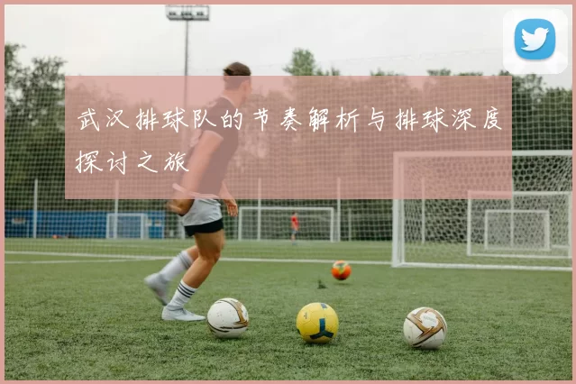 武汉排球队的节奏解析与排球深度探讨之旅