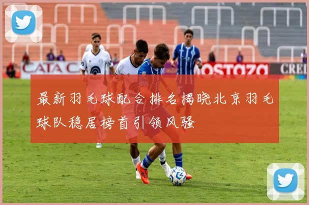 最新羽毛球配合排名揭晓北京羽毛球队稳居榜首引领风骚