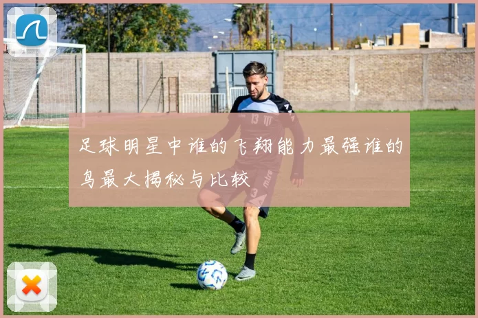足球明星中谁的飞翔能力最强谁的鸟最大揭秘与比较