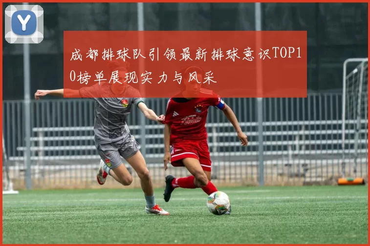 成都排球队引领最新排球意识TOP10榜单展现实力与风采