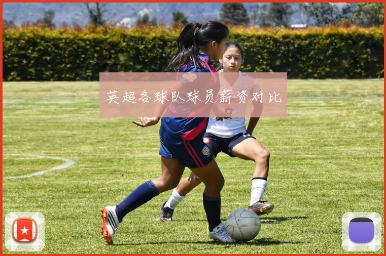 英超各球队球员薪资对比