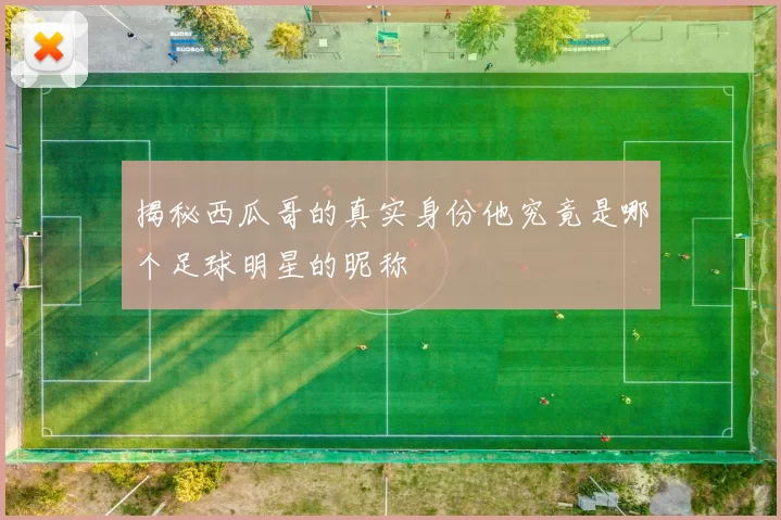 揭秘西瓜哥的真实身份他究竟是哪个足球明星的昵称
