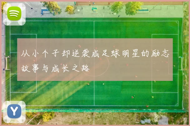 从小个子却逆袭成足球明星的励志故事与成长之路