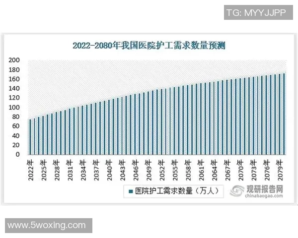 武汉滑板队的管理模式与发展现状深度解析