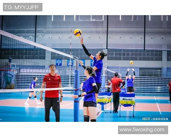 杭州排球队的战术控制与技术分析探讨排球热点新视角