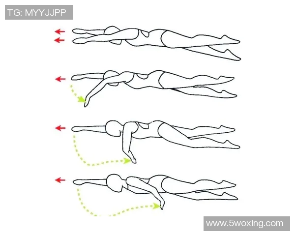 探索自由泳技巧与训练方法提升泳姿效率的全面指南