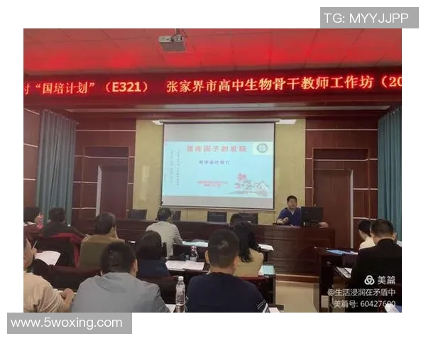 杭州排球队灵活性分析与战术创新的深度探讨