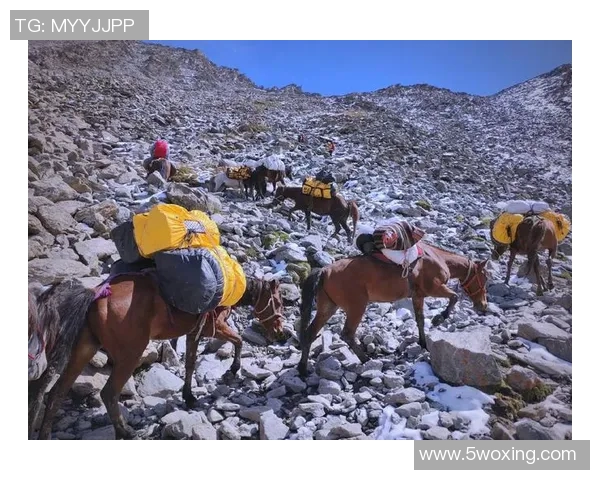极限运动的魅力与挑战吴伟分享他的冒险人生与心路历程