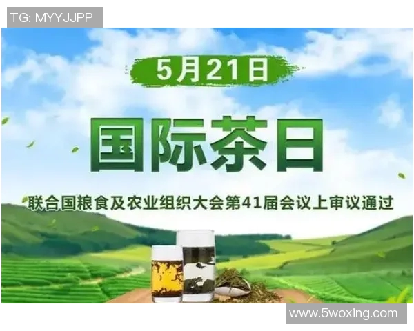 茶堂文化的传承与创新探索：打造现代茶文化新体验